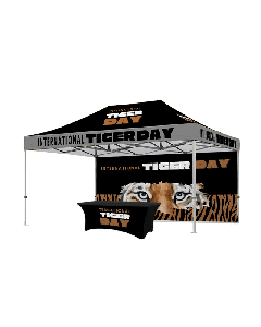 10x15 canopy heavy duty